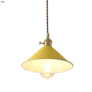 GobekUsa Iron Lampshade LED Pendant Lights, Adjustable Modern Hang Lamp