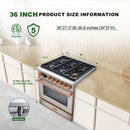 36 Inch Freestanding Custom Gas Range with 6 Sealed Burners Cooktop, Rapid Convection Oven, Natural Gas/LP Convertible - AK-G36N05A-1