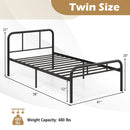 Modern Metal Platform Bed with Headboard and Footboard-Black by LJGDeals