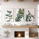 Botanical Set of 3 Prints. Tropical Monstera, Rubber Plant by Wall Art Set