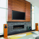 Montigo DelRay Linear Direct Vent Natural Gas Fireplace [DRL36/48/6013NI] (SAK31245)