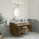 James Martin Chicago 48" Single Bathroom Vanity, Walnut Whisper