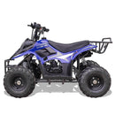 MotoTec Rex 110CC 4-Stroke Mini Kids 4 Wheeler Gas ATV Quad, Blue (91352842)