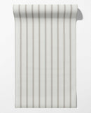 Moulding Line Wallpaper in Cool Taupe