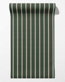 Moulding Line Wallpaper in Library Green