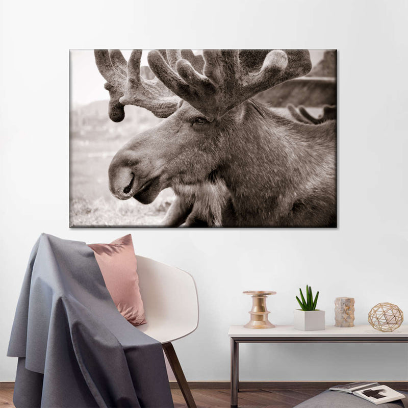 Moose Head Wall Art