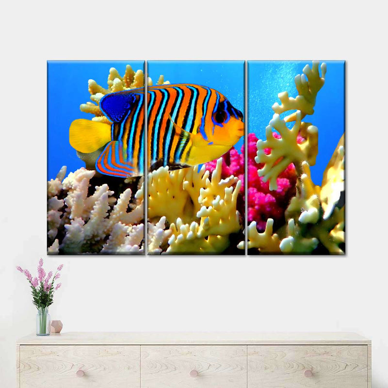 Queen Angelfish Wall Art