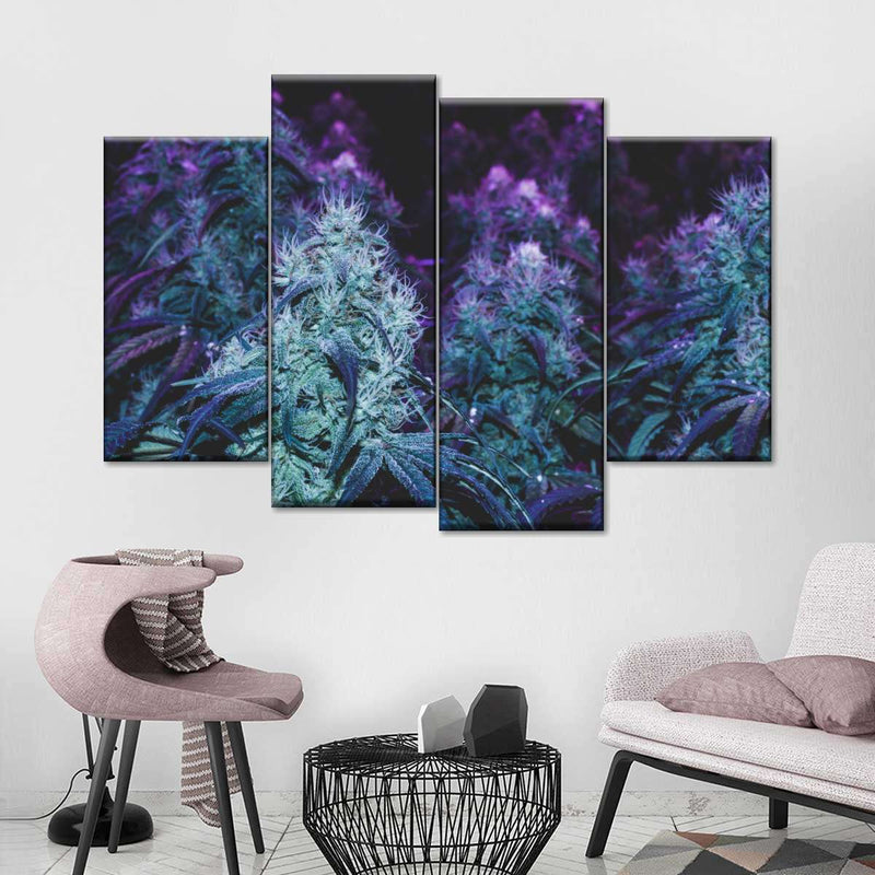 Flowering Purple Cannabis Wall Art