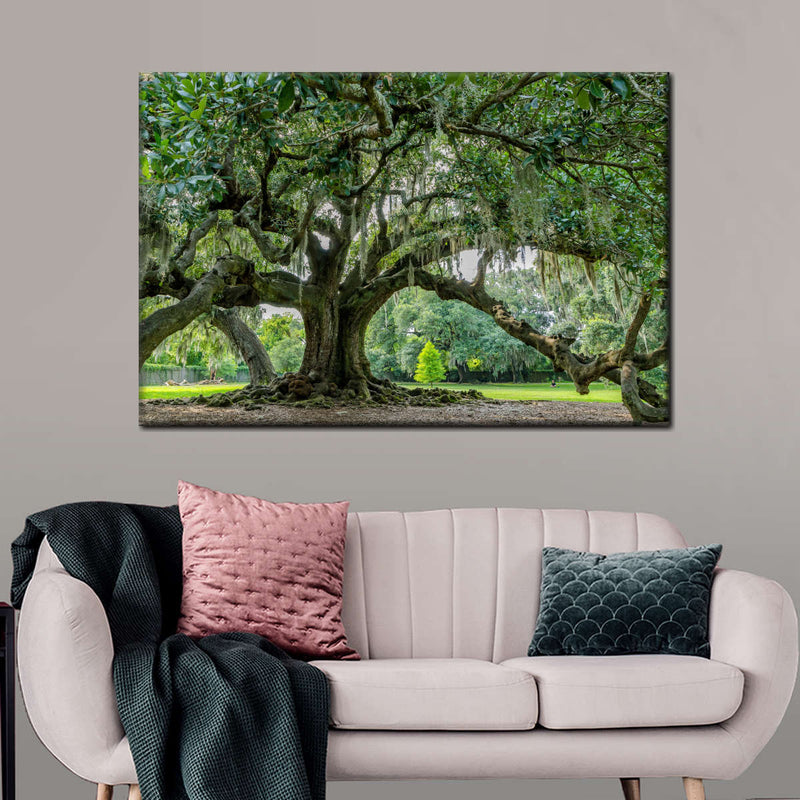 Audubon Park Oak Tree Wall Art