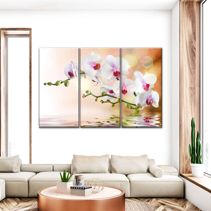 Orchid Flowers On Water Wall Art