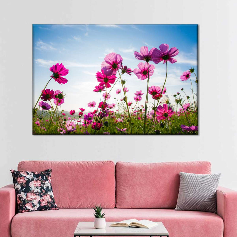 Wild Cosmos Flowers Wall Art