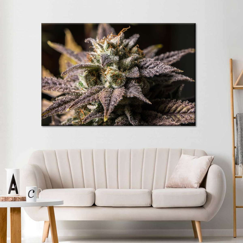 Marijuana In Winter Wall Art