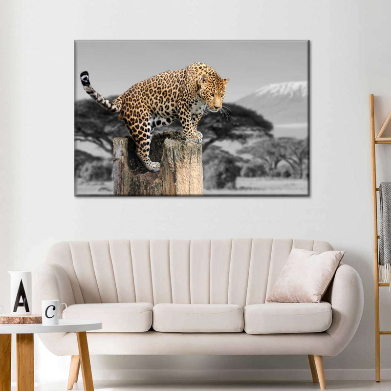 Pop African Leopard Wall Art