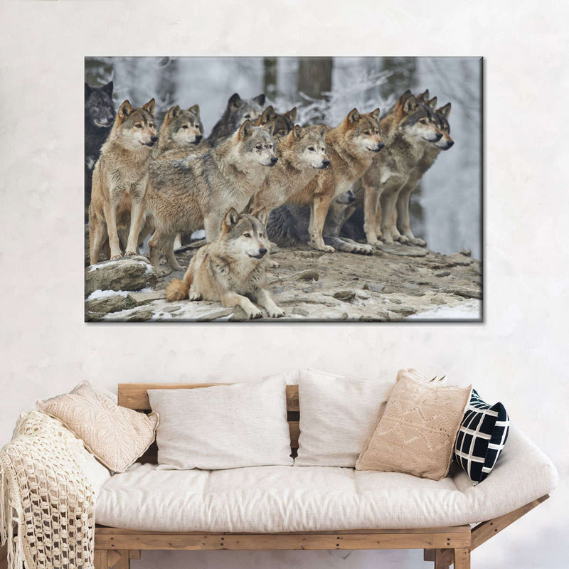 Wild Wolf Pack Wall Art