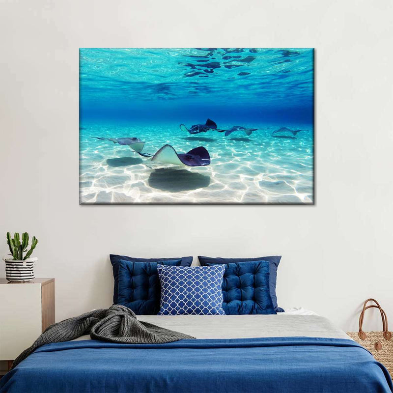 Grand Cayman Stingrays Wall Art