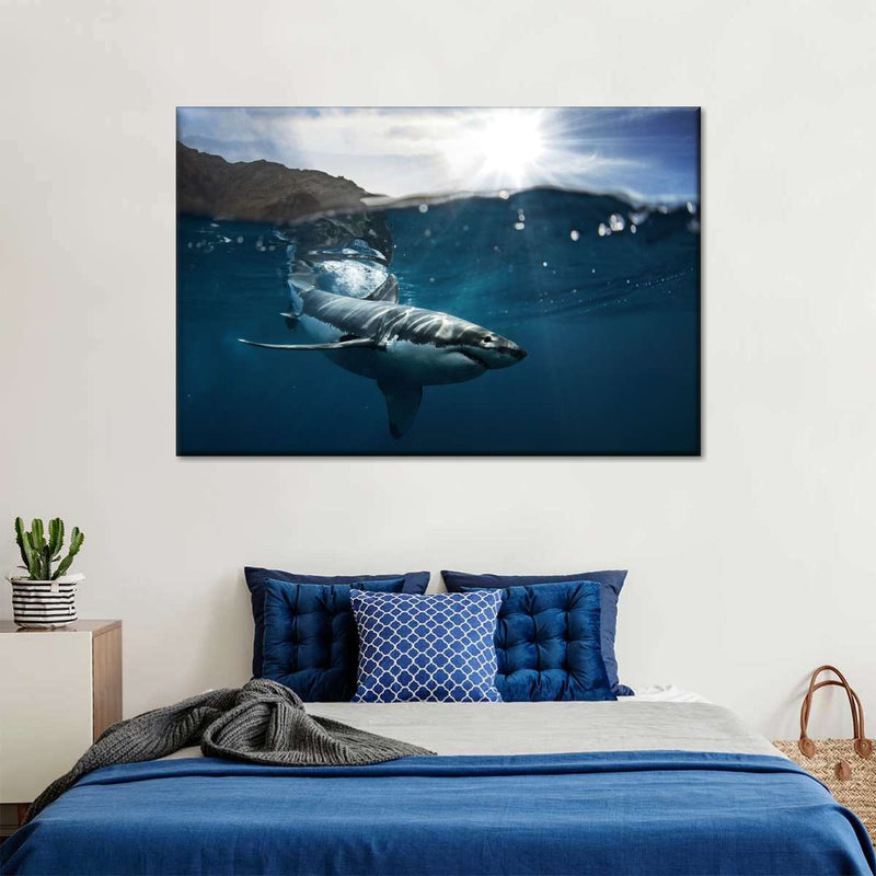 Shark Sunshine Wall Art