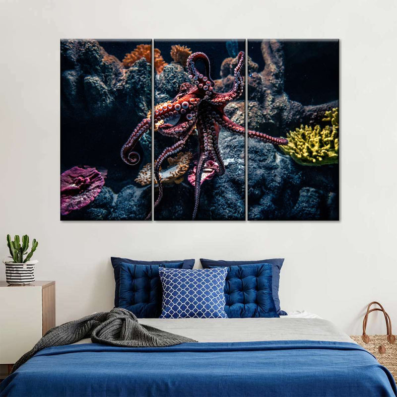 Octopus Habitat Wall Art