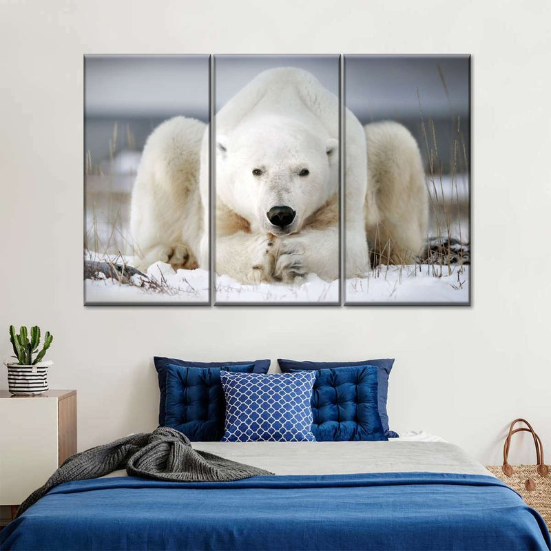 Yoga Polar Bear Wall Art