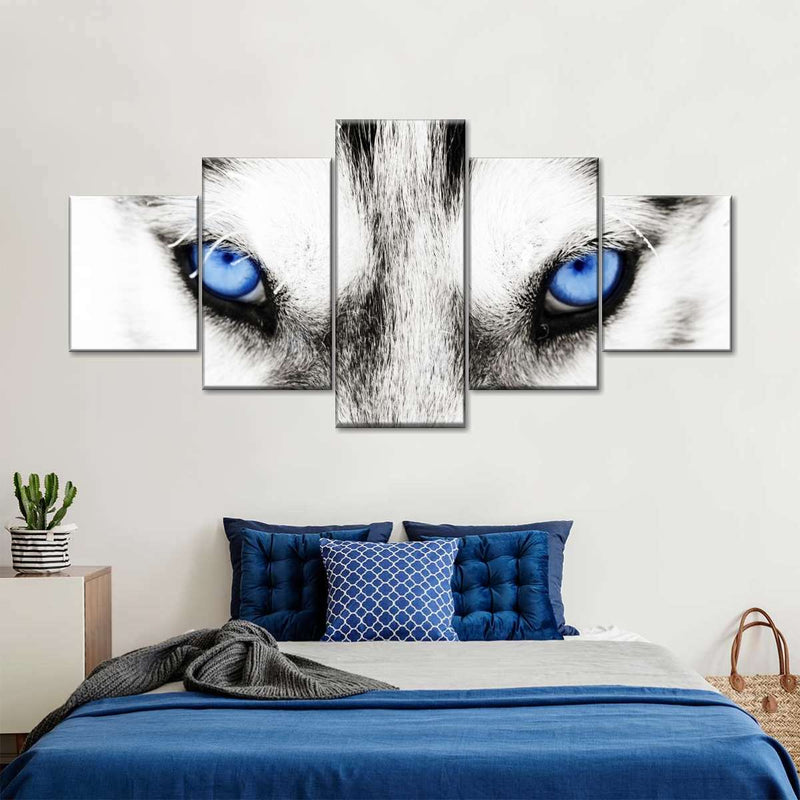 Husky's Eyes Wall Art