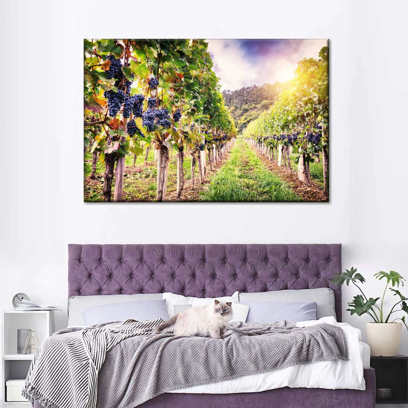 Autumn Vineyard Landscape Wall Art