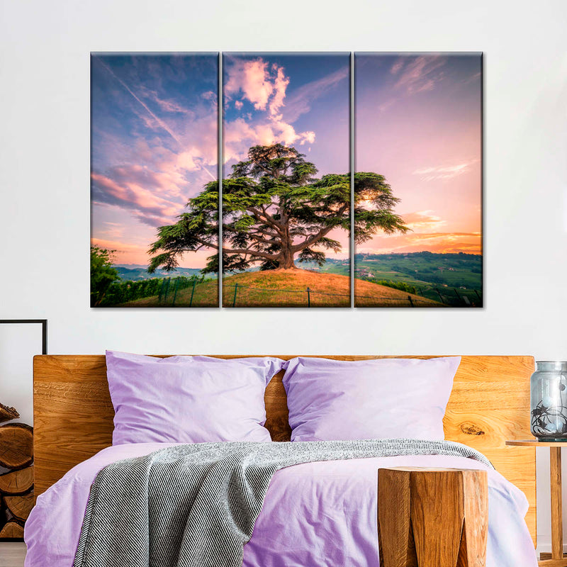 Majestic Cedar Of Lebanon Wall Art