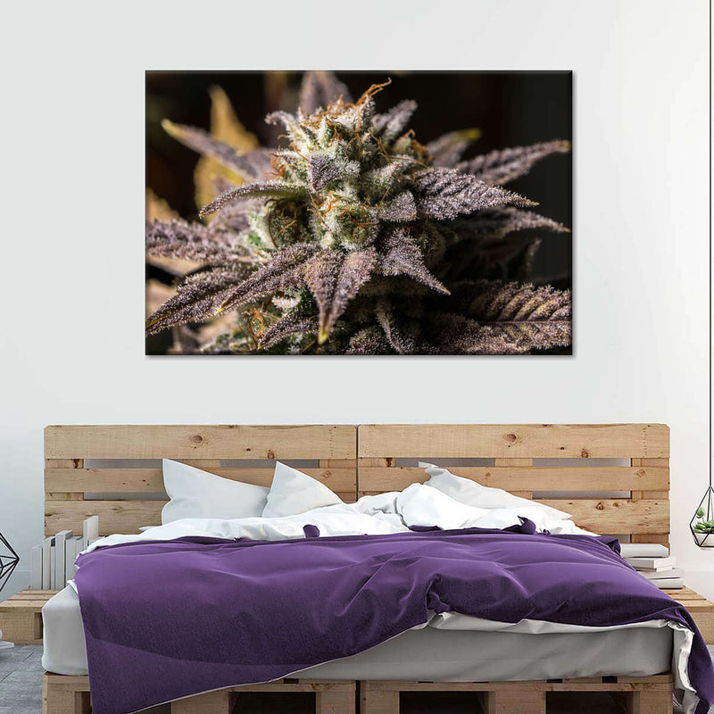 Marijuana In Winter Wall Art