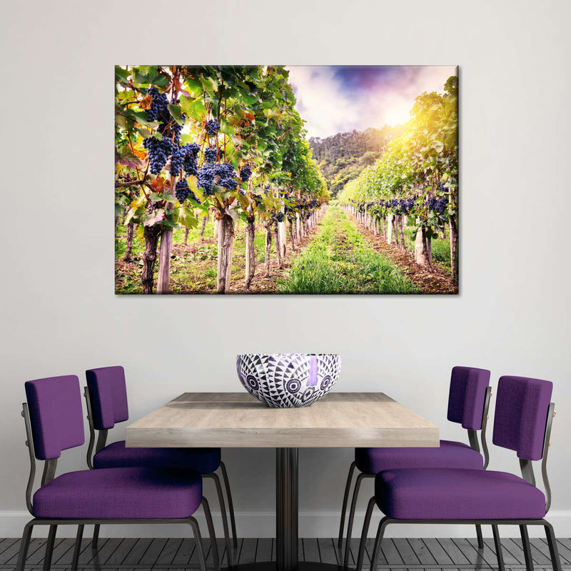 Autumn Vineyard Landscape Wall Art