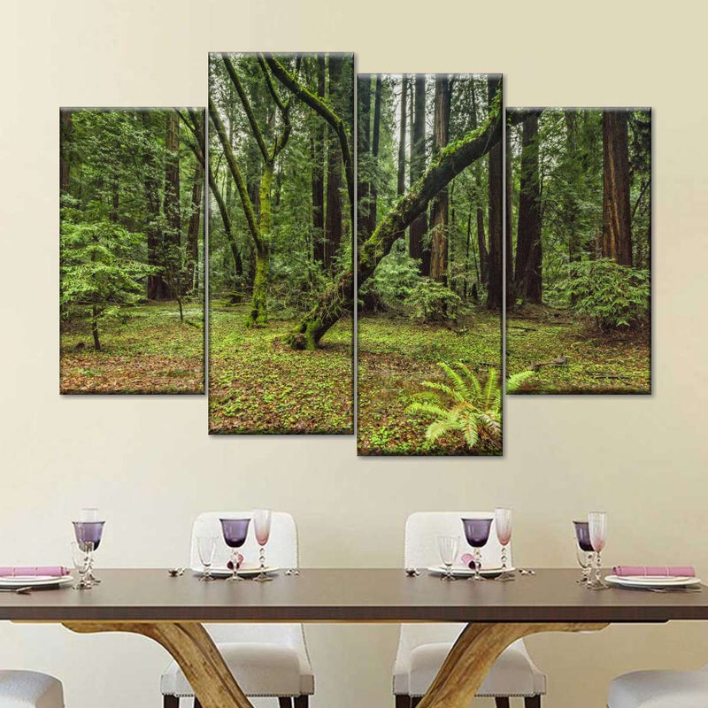 Muir Woods Forest Wall Art