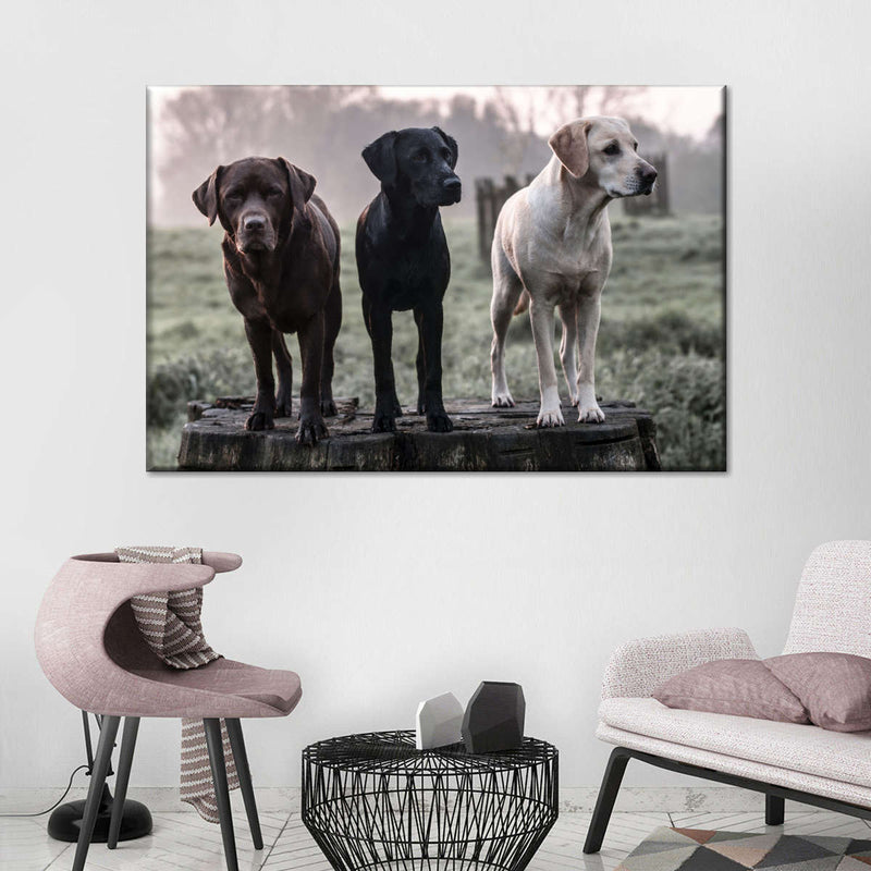 Labrador Dogs Wall Art