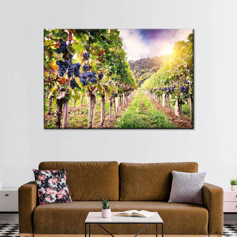 Autumn Vineyard Landscape Wall Art