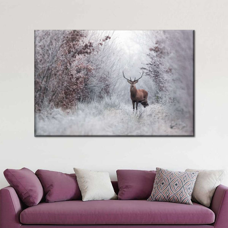 Deer Wall Art