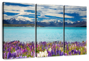 Lake Tekapo Mountain Wall Art