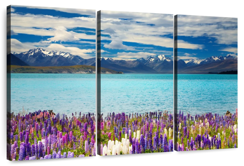 Lake Tekapo Mountain Wall Art