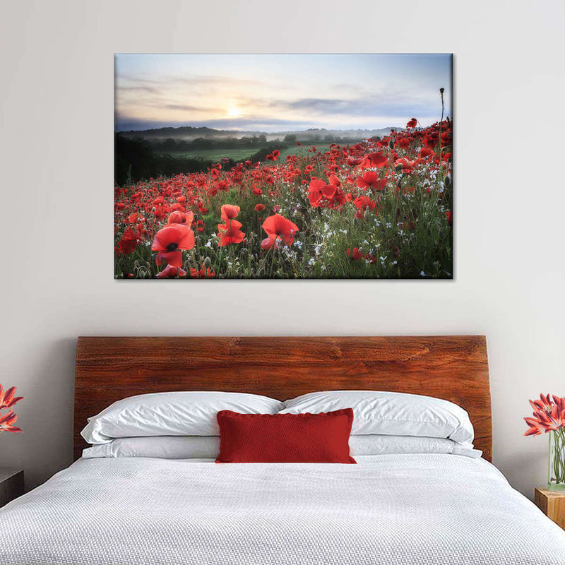 Field Of Red Poppies Wall Art