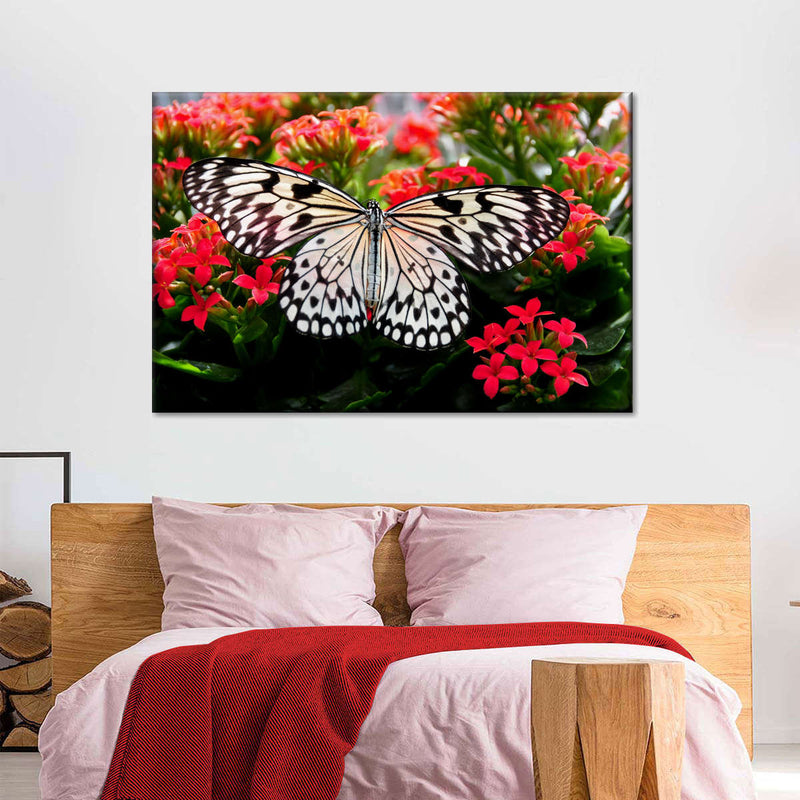 Pretty Butterfly Wall Art