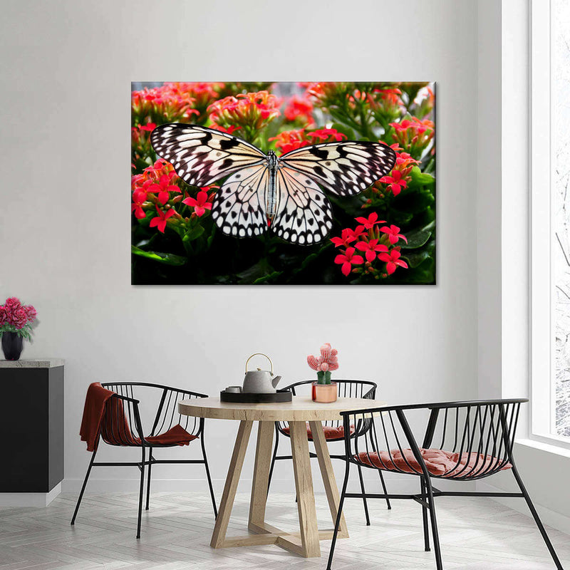 Pretty Butterfly Wall Art