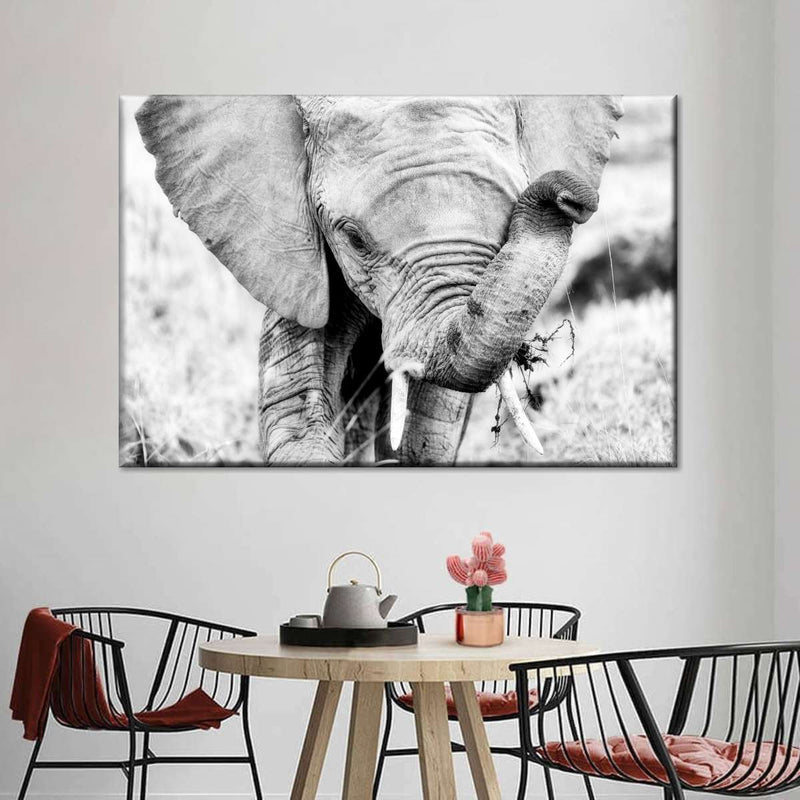 Kenyan Baby Elephant Wall Art