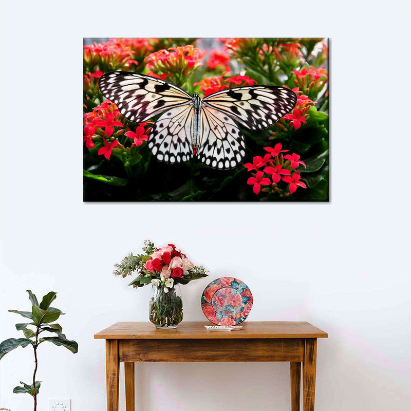 Pretty Butterfly Wall Art