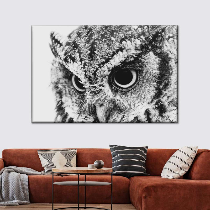 Staring Owl Wall Art