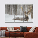Snow Covered Elk Wall Art