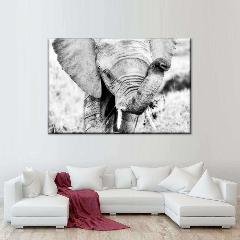 Kenyan Baby Elephant Wall Art