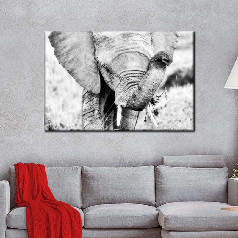 Kenyan Baby Elephant Wall Art