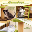 Cute Cat Tree for Indoor Cats with Mushroom-shaped Nest Condo and Climbing Ladder-Green by LJGDeals
