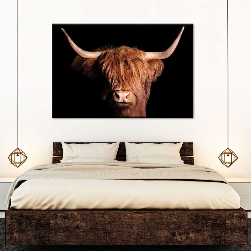 Scottish Highland Cow Wall Art