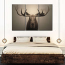 Moose Portrait Wall Art