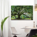 Audubon Park Oak Tree Wall Art