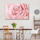 Fresh Pink Rose Wall Art