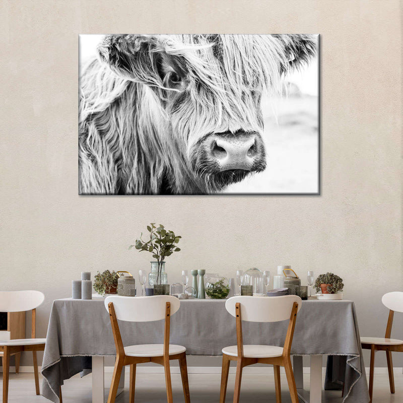 Long Haired Cow Wall Art