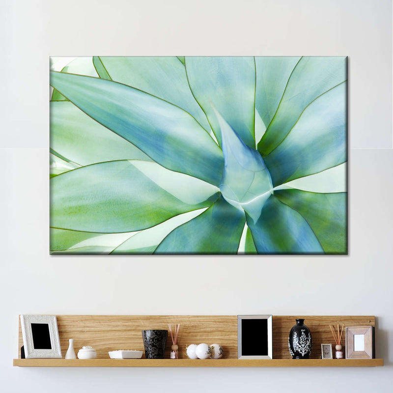 Agave Leaves Wall Art