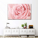 Fresh Pink Rose Wall Art